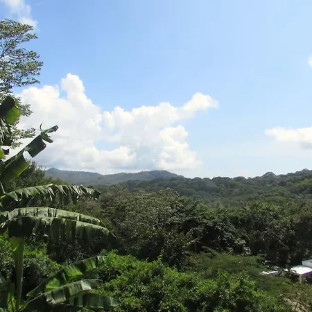 Boutique Tropical Retreat, Sleeps 10, Perfect For Friends And Fams Villa